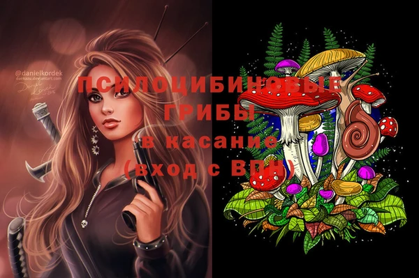 амф Нефтегорск