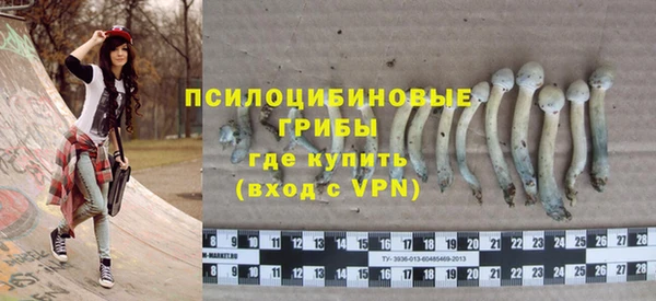 амф Нефтекумск