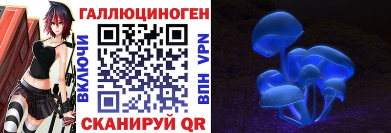 KRAKEN   продажа наркотиков  Сельцо  Галлюциногенные грибы мицелий 